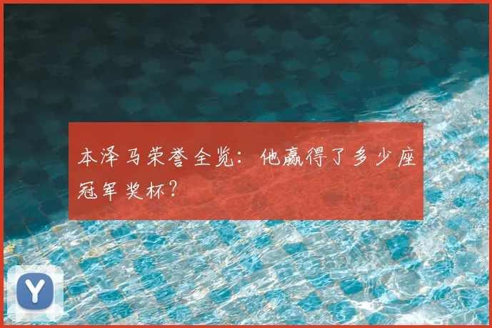 本泽马荣誉全览:他赢得了多少座冠军奖杯?