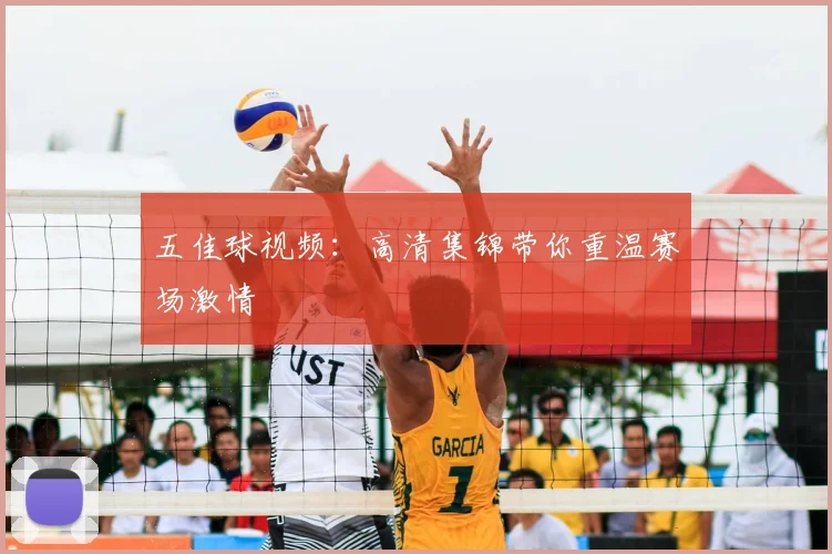 五佳球视频：高清集锦带你重温赛场激情